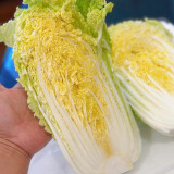 Quanfu Baby Cabbage Seeds