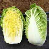 Quanfu Baby Cabbage Seeds