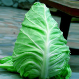 Pagoda Ox-heart Cabbage Seeds