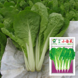 The Four Seasons of Chinese Cabbage Seeds
