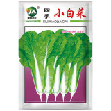 The Four Seasons of Chinese Cabbage Seeds