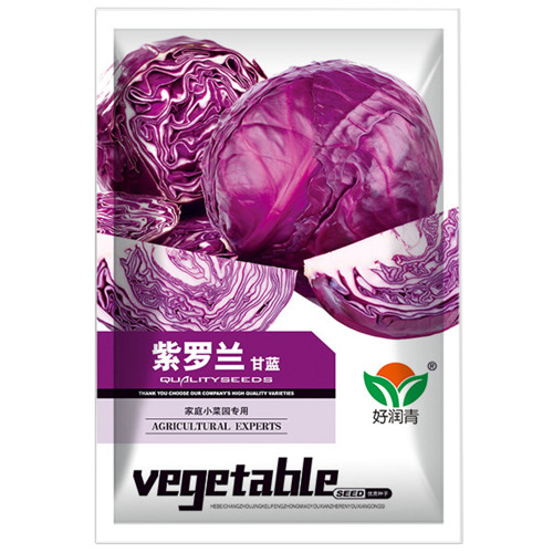 Violet Cabbage Seeds