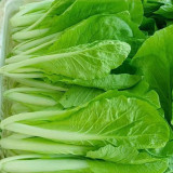 Creamy Baby Bok Choy Seeds: Crisp and Refreshing