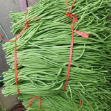 Small Five-leaf Yardlong Bean Seeds