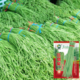 Small Five-leaf Yardlong Bean Seeds