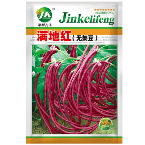 Mandihong Purple Yardlong Bean Seeds (No Trellis Required)