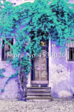 Bougainvillea Se.ed Colorful Bougainvillea Spectabilis Willd Seed