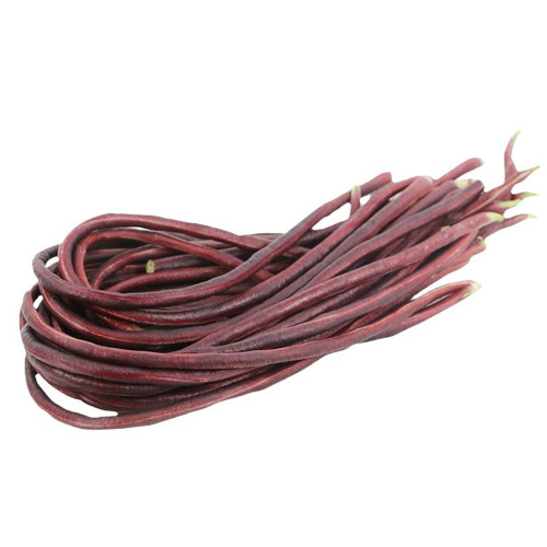 Mandihong Purple Yardlong Bean Seeds (No Trellis Required)