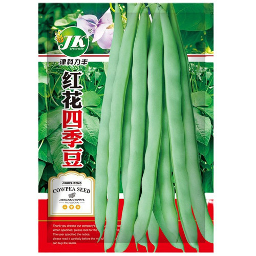 Red-flowered Snap Bean Seeds