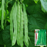 Green Dragon Snap Bean Seeds
