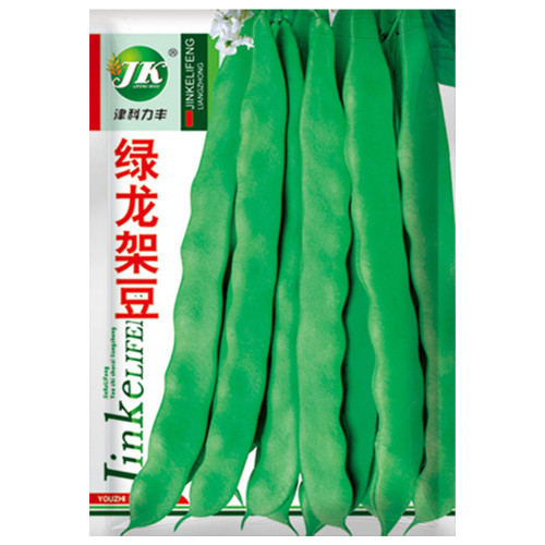 Green Dragon Snap Bean Seeds