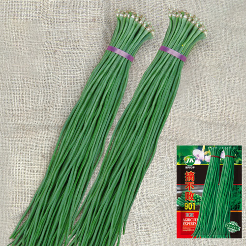 Continuously Harvestable 901 Yardlong Bean Seeds