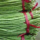 Continuously Harvestable 901 Yardlong Bean Seeds