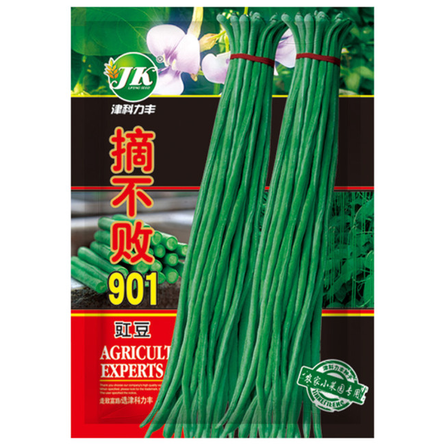 Continuously Harvestable 901 Yardlong Bean Seeds