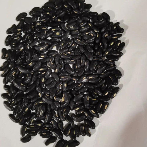 Black Eyebrow No.1 Cowpea Seeds