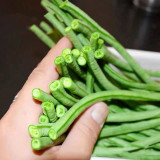 Black Eyebrow No.1 Cowpea Seeds
