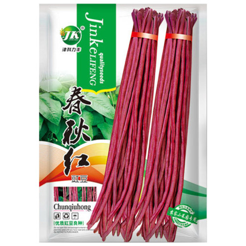 Spring-Autumn Red Cowpea Seeds, Purple-red pods & Rich in anthocyanins