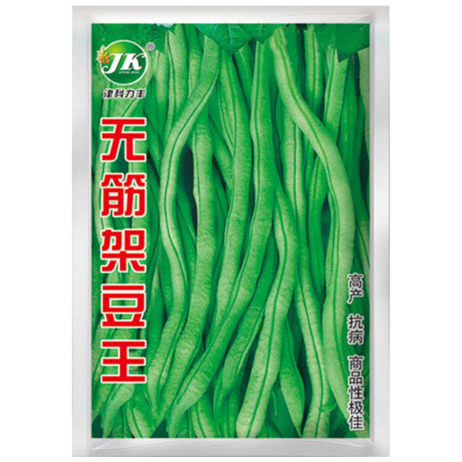 Stringless Snap Bean King Seeds