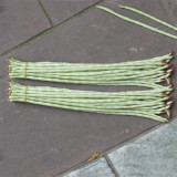 Ningjiang No.3 Yardlong Bean Seeds