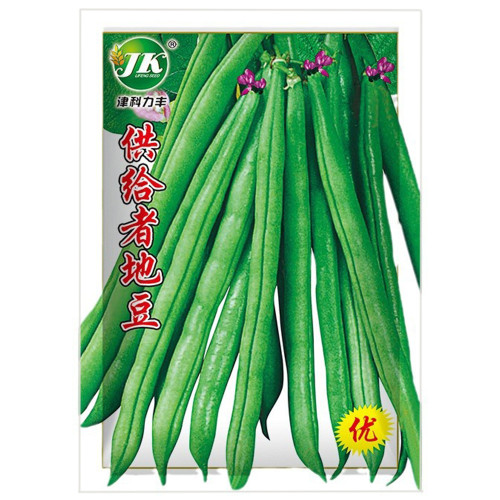Supplier Snap Bean Seeds