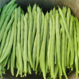 Supplier Snap Bean Seeds