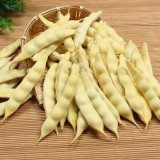Golden Hook Kidney Bean Seeds