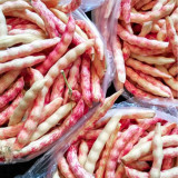 Red Golden Hook Kidney Bean Seeds