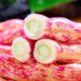 Red Golden Hook Kidney Bean Seeds