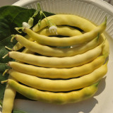 Golden Hook Kidney Bean Seeds