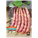 Red Golden Hook Kidney Bean Seeds