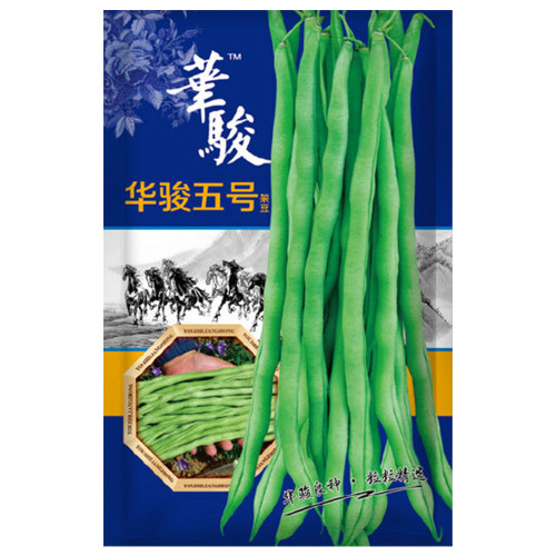 Huajun No.5 Snap Bean Seeds