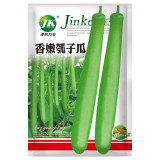 Bottle Gourd Seeds Nutrient-Rich