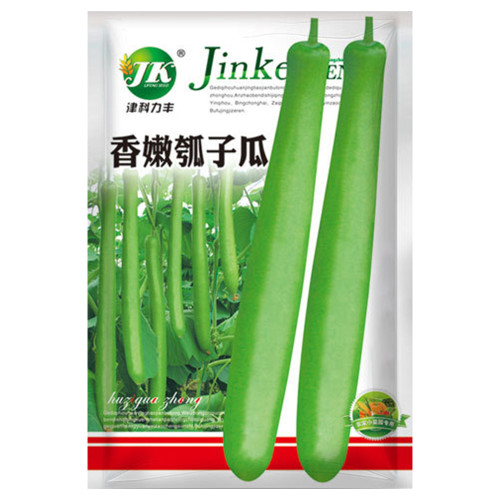 Bottle Gourd Seeds Nutrient-Rich