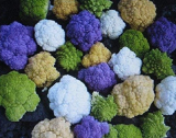 Rainbow Blend Cauliflower Broccoli Mixed Seeds