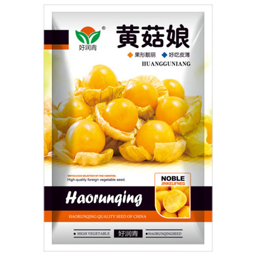 Physalis pubescens, Groundcherry Seeds 