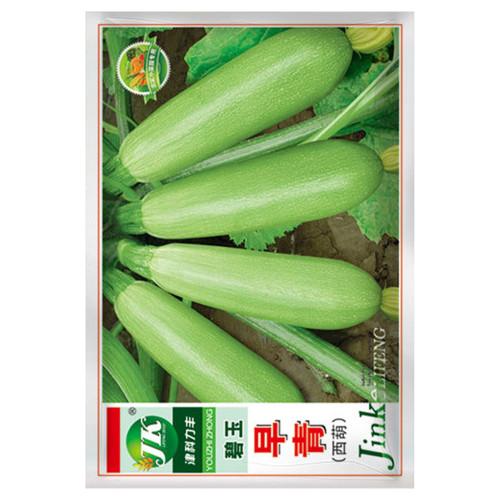 Zaoqing Zucchini Seeds