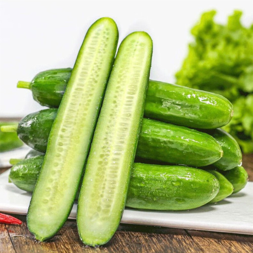 Spineless Mini Cucumber Seeds