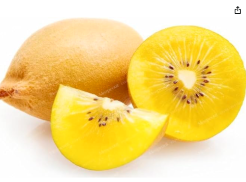 Kiwi Seed 100% Real Actinidia Chinensis (Color: 6)
