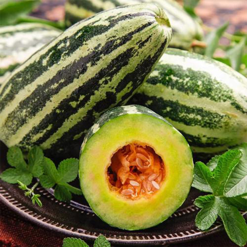 Extremely Sweet Melon Seeds