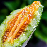 Goat Horn Crispy Melon Seeds