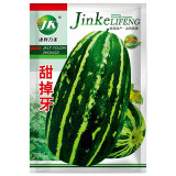 Extremely Sweet Melon Seeds