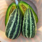 Extremely Sweet Melon Seeds