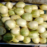 Tianfei Sweet Melon Seeds