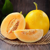 Jinxiangyu Muskmelon Seeds