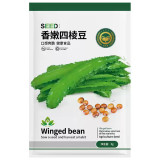 Winged Bean Seeds, Psophocarpus tetragonolobus
