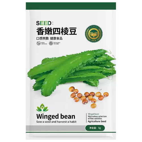 Winged Bean Seeds, Psophocarpus tetragonolobus