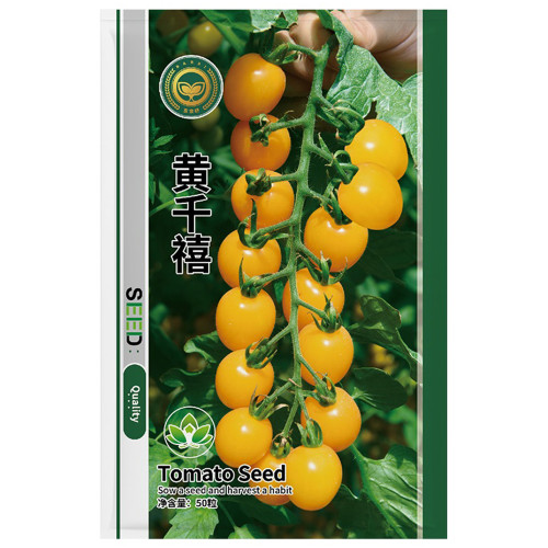 ‘Yellow Millennium’ Cherry Tomato Seeds