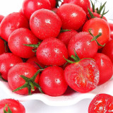 ‘Millennium’ Cherry Tomato Seeds
