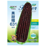 Black Sweet-waxy Maize Seeds