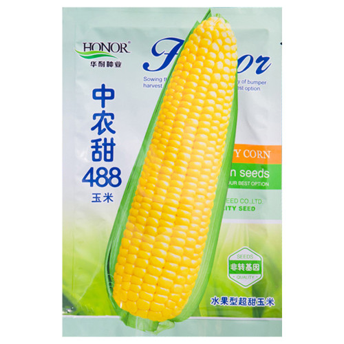 Zhongnongtian 488 Sweet Corn Seeds